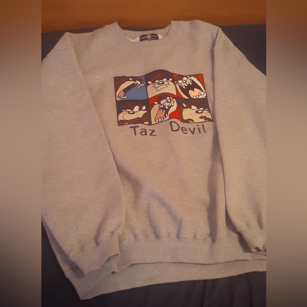Retro 1995 Warner Bros Taz Devil Gray Sweater- XL